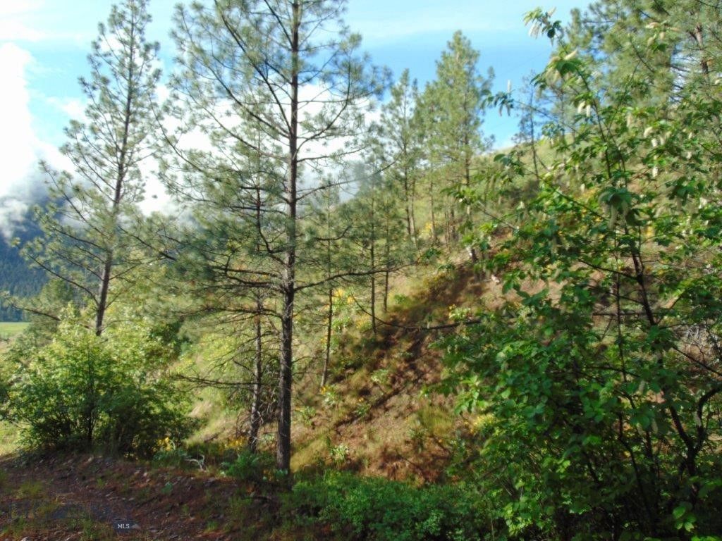 27235 LAZY SPRINGS RD, Clinton, MT 59825 photo 41