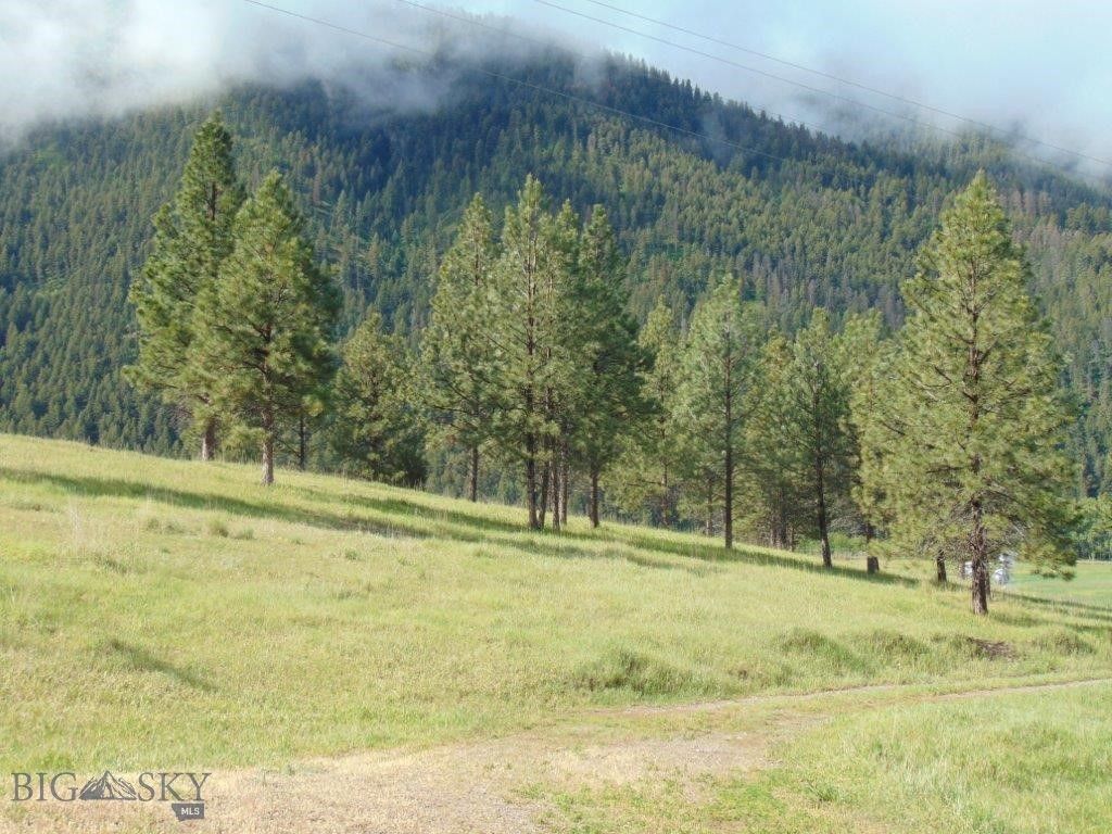 27235 LAZY SPRINGS RD, Clinton, MT 59825 photo 43