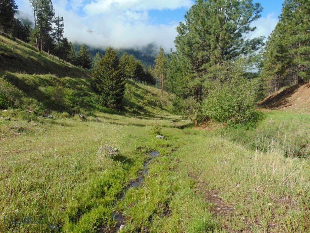 27235 LAZY SPRINGS RD, Clinton, MT 59825 photo 46