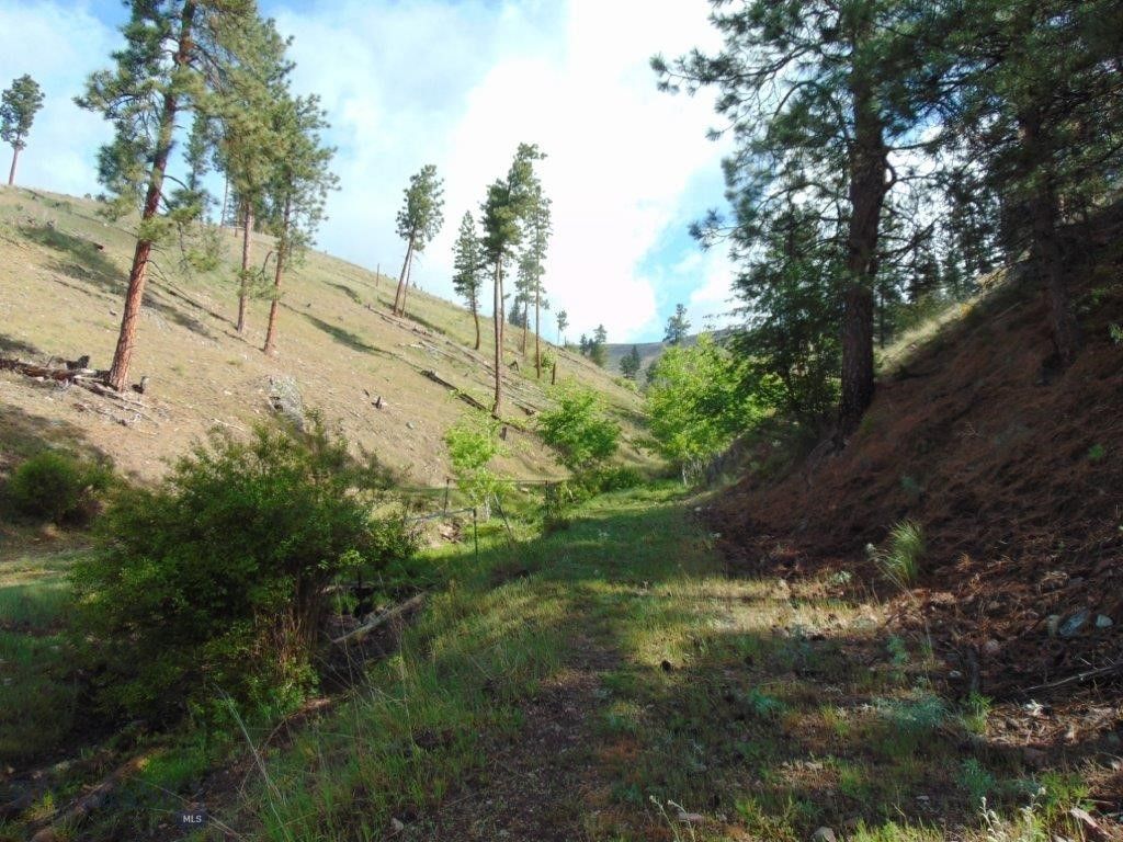 27235 LAZY SPRINGS RD, Clinton, MT 59825 photo 48