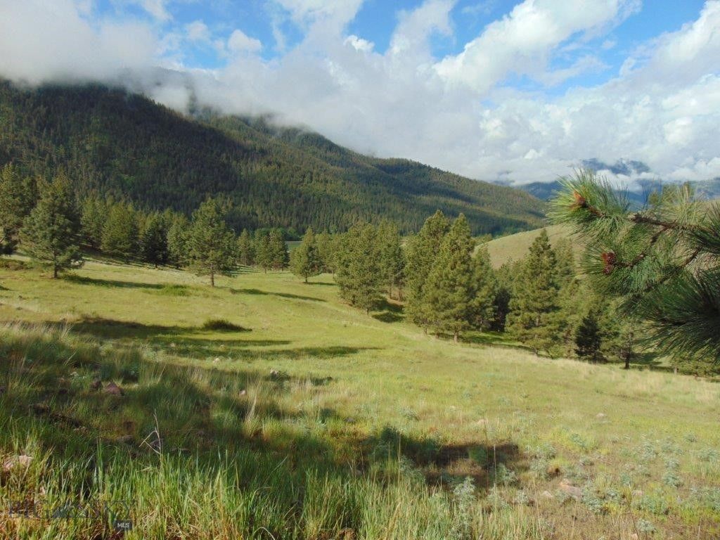 27235 LAZY SPRINGS RD, Clinton, MT 59825 photo 52