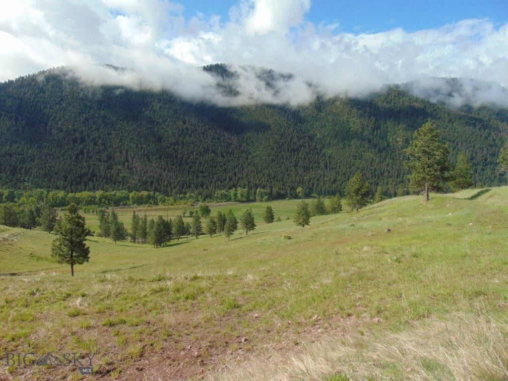 27235 LAZY SPRINGS RD, Clinton, MT 59825 photo 57