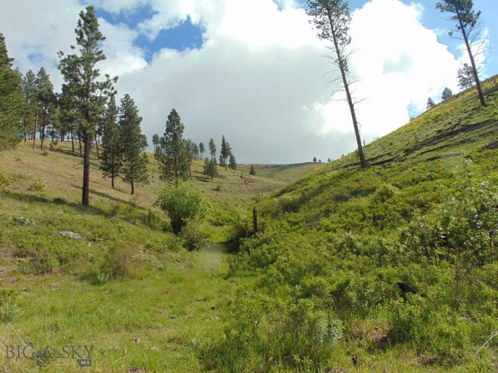 27235 LAZY SPRINGS RD, Clinton, MT 59825 photo 73