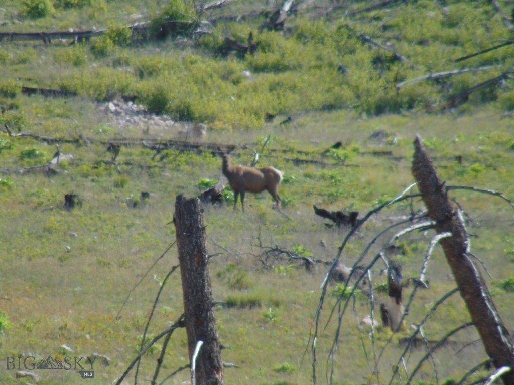 27235 LAZY SPRINGS RD, Clinton, MT 59825 photo 76