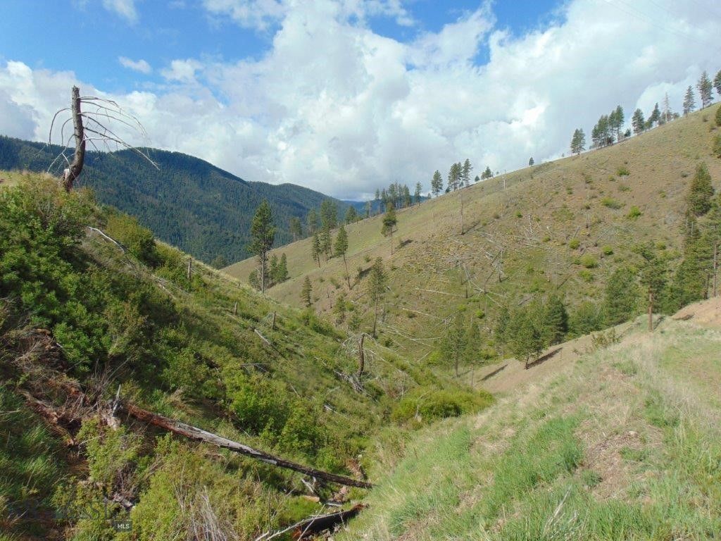 27235 LAZY SPRINGS RD, Clinton, MT 59825 photo 77