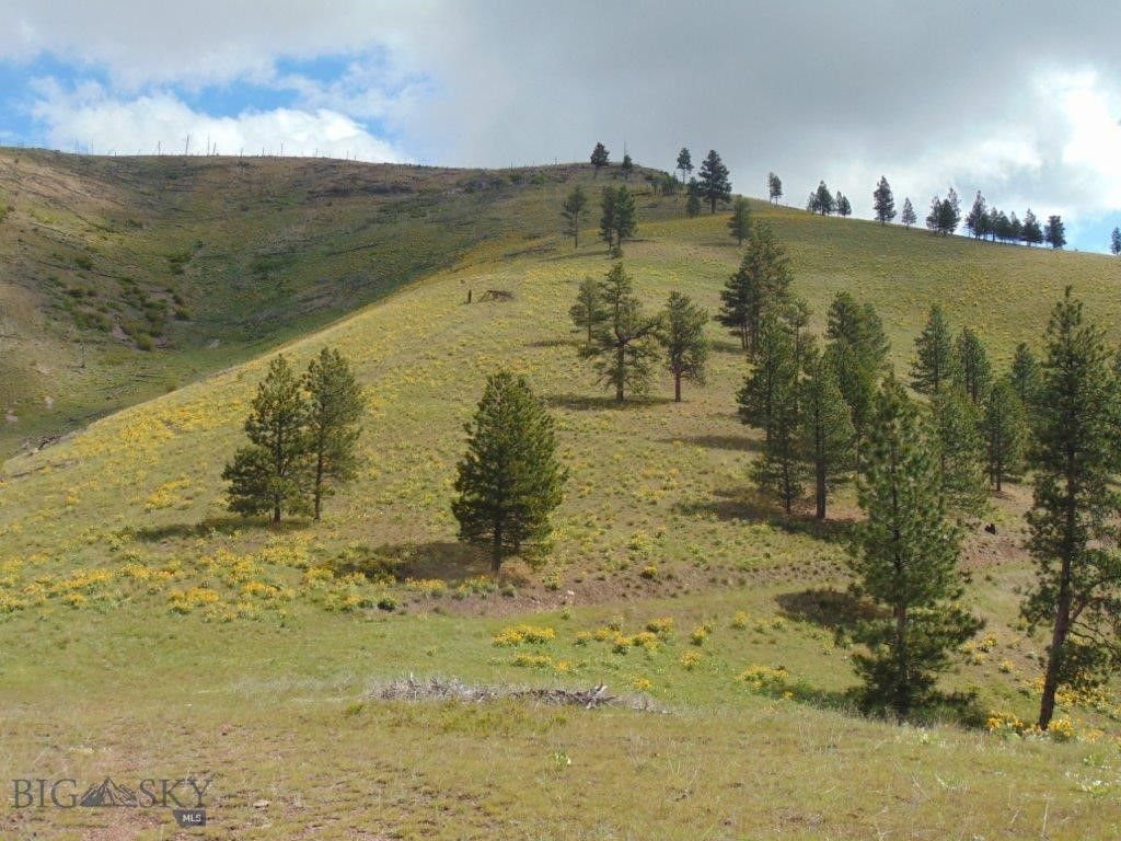 27235 LAZY SPRINGS RD, Clinton, MT 59825 photo 85