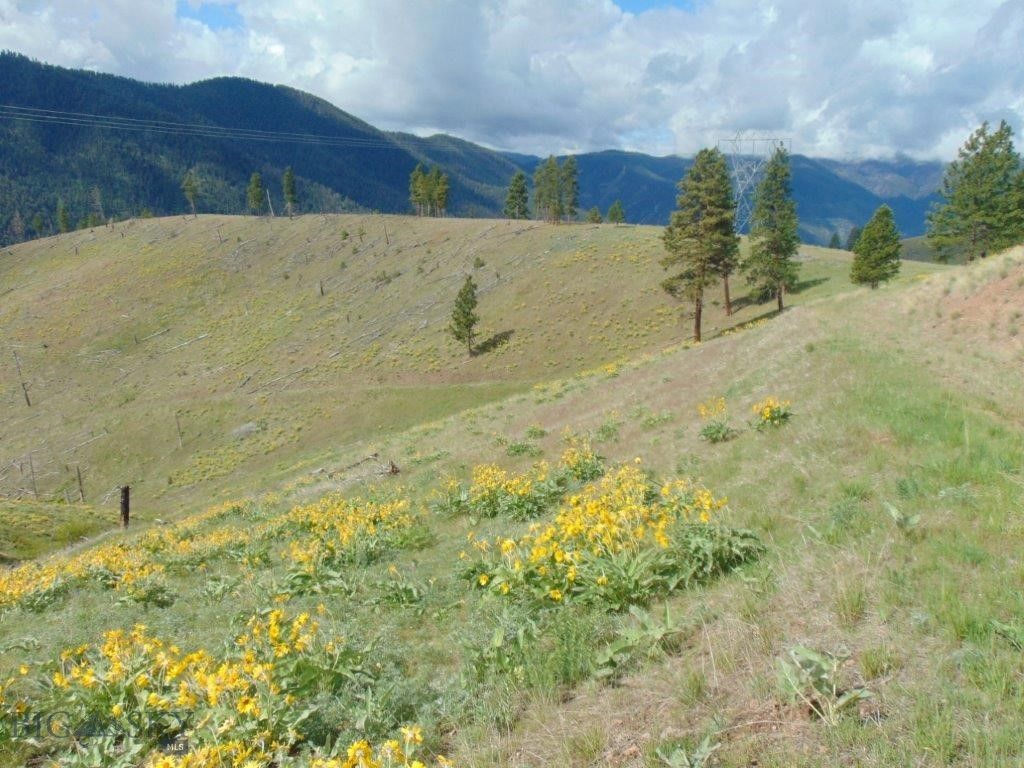 27235 LAZY SPRINGS RD, Clinton, MT 59825 photo 88