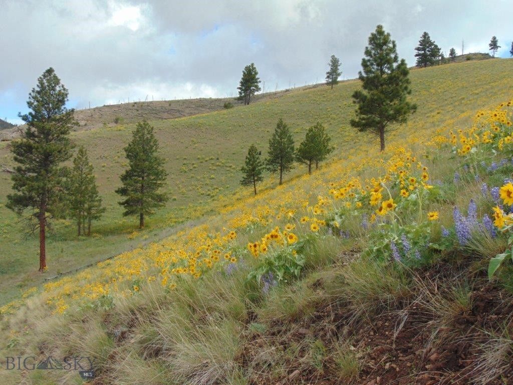 27235 LAZY SPRINGS RD, Clinton, MT 59825 photo 89