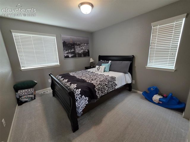 7114 Laurel Cherry Court, Colorado Springs, CO 80927