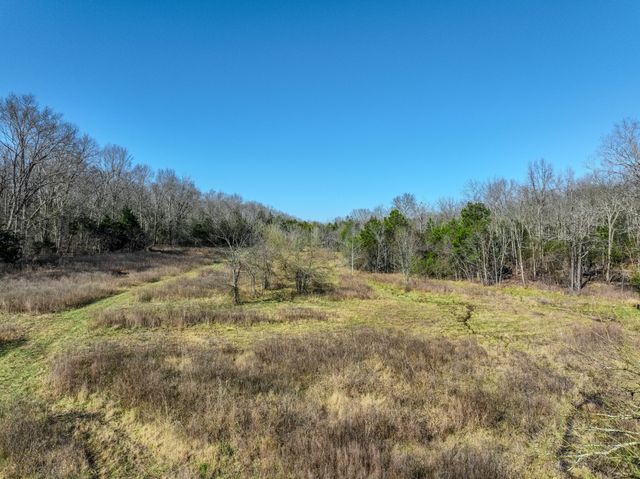 0 Lasea Rd, Spring Hill, TN 37174