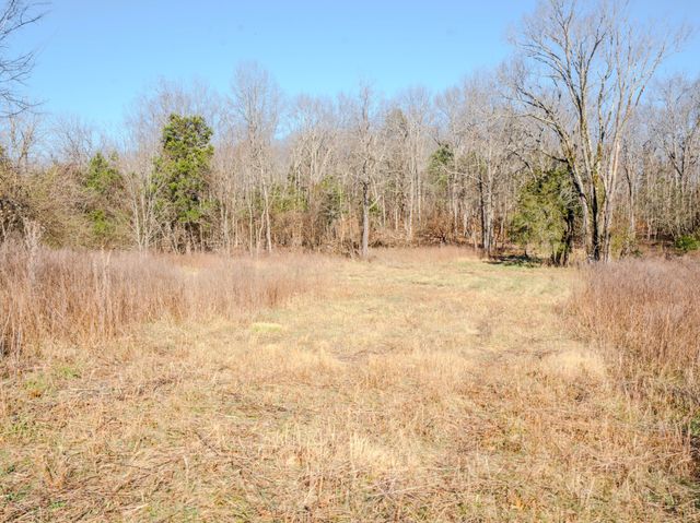 0 Lasea Rd, Spring Hill, TN 37174