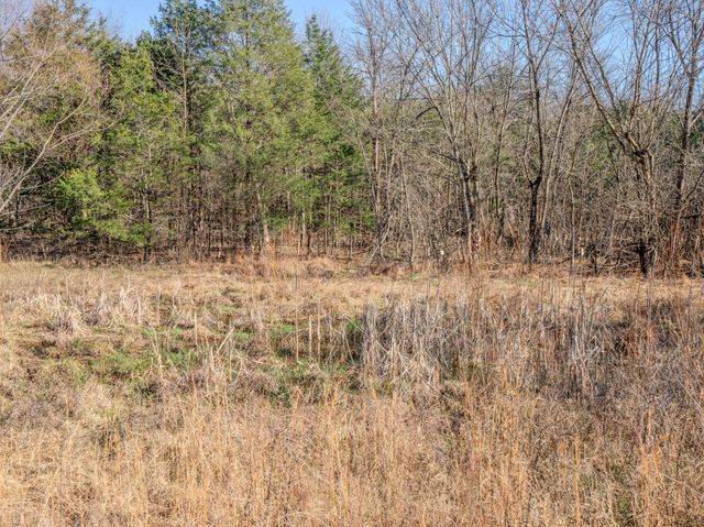 0 Lasea Rd, Spring Hill, TN 37174