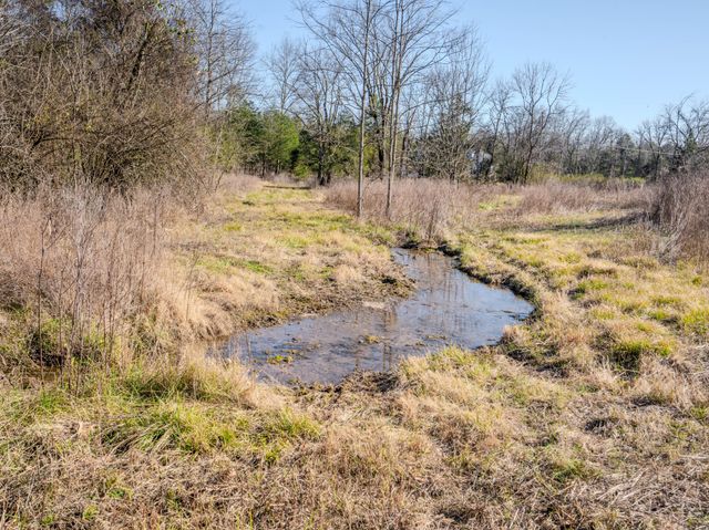 0 Lasea Rd, Spring Hill, TN 37174