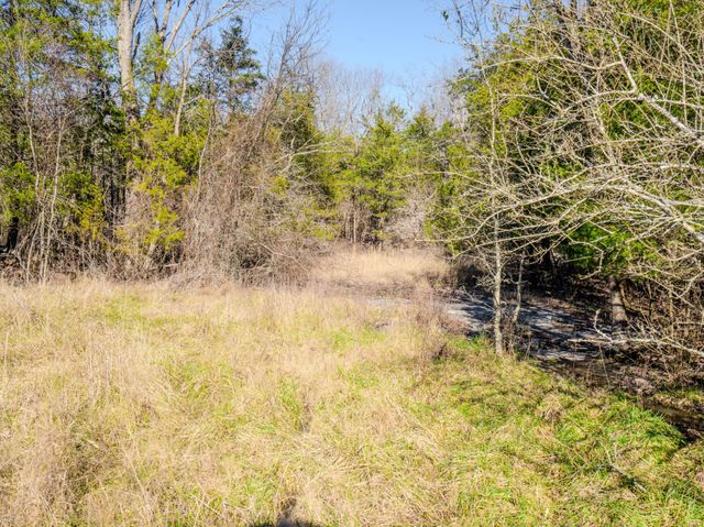 0 Lasea Rd, Spring Hill, TN 37174