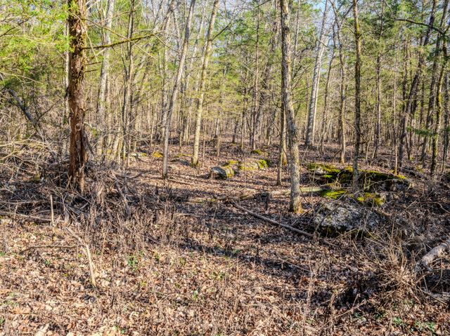 0 Lasea Rd, Spring Hill, TN 37174