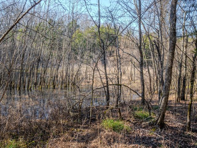 0 Lasea Rd, Spring Hill, TN 37174