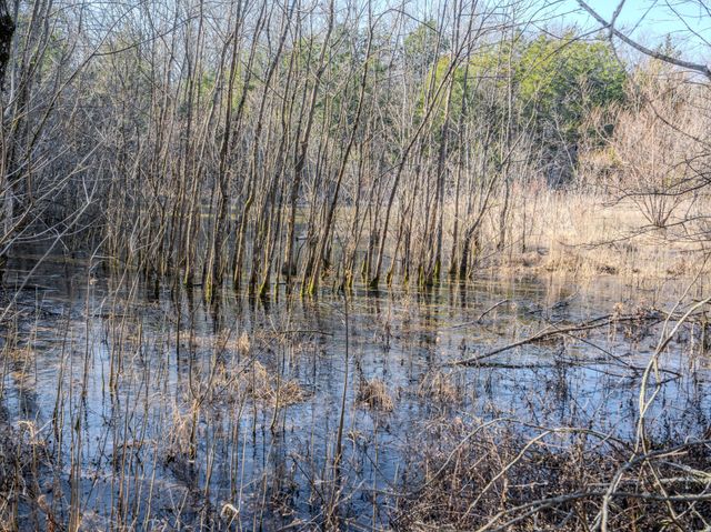 0 Lasea Rd, Spring Hill, TN 37174