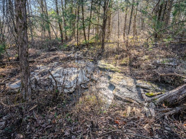 0 Lasea Rd, Spring Hill, TN 37174