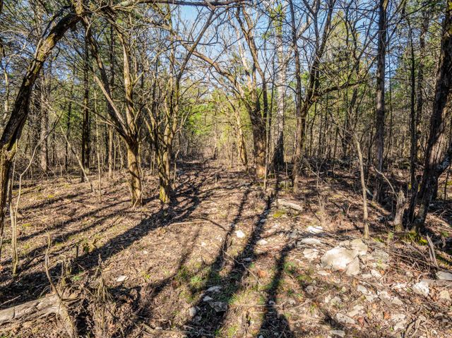 0 Lasea Rd, Spring Hill, TN 37174