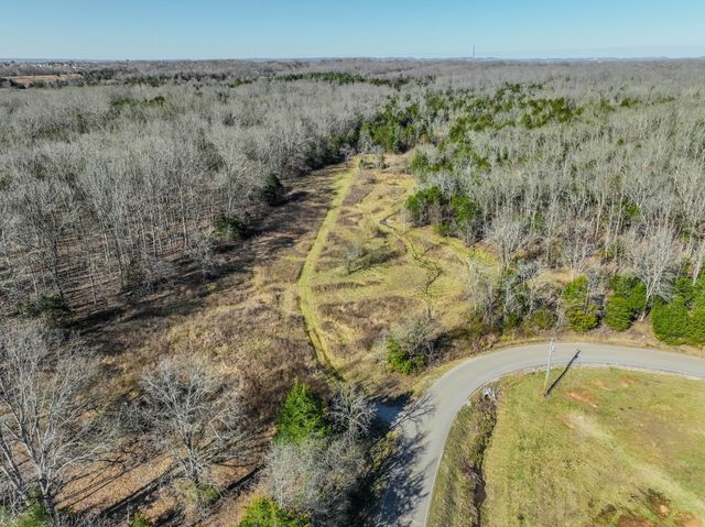 0 Lasea Rd, Spring Hill, TN 37174