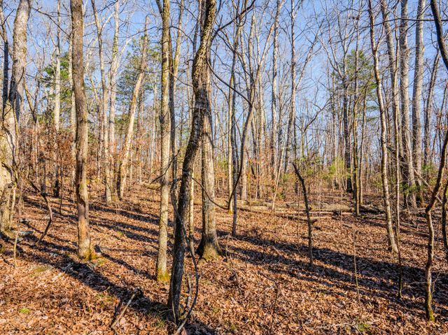 0 Lasea Rd, Spring Hill, TN 37174