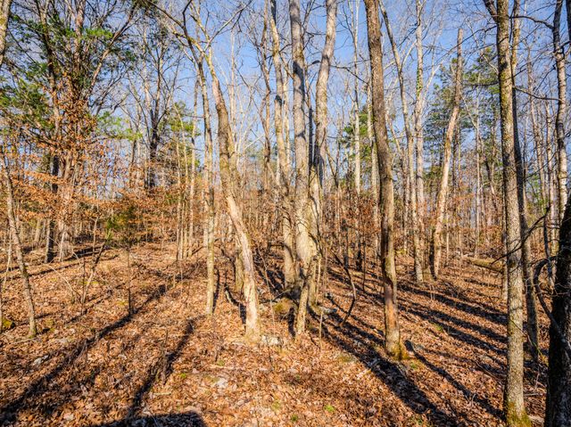 0 Lasea Rd, Spring Hill, TN 37174