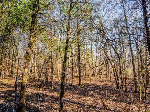 0 Lasea Rd, Spring Hill, TN 37174