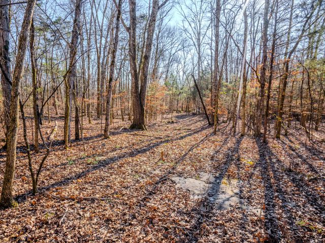 0 Lasea Rd, Spring Hill, TN 37174