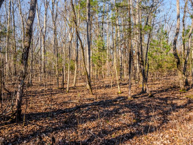 0 Lasea Rd, Spring Hill, TN 37174