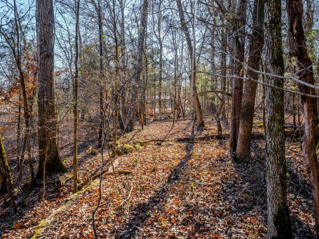 0 Lasea Rd, Spring Hill, TN 37174