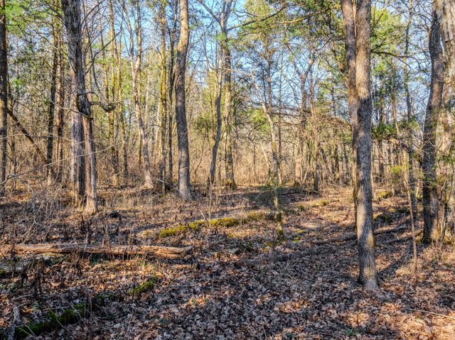 0 Lasea Rd, Spring Hill, TN 37174