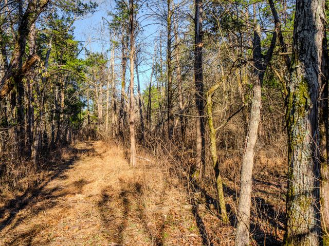 0 Lasea Rd, Spring Hill, TN 37174