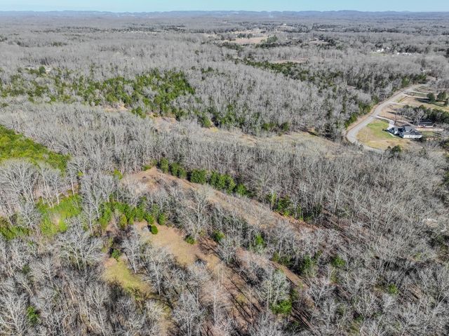 0 Lasea Rd, Spring Hill, TN 37174