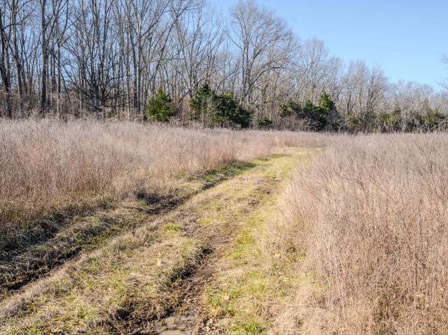 0 Lasea Rd, Spring Hill, TN 37174