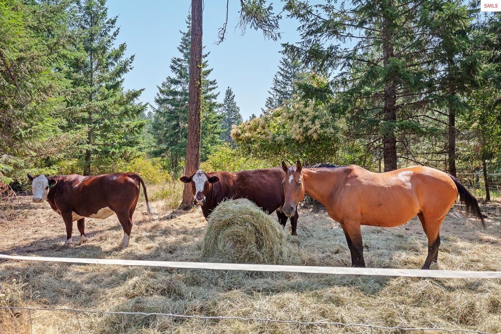 NKA Lisa, Harrison, ID 83833 photo 27