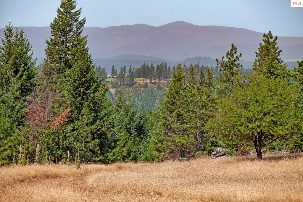 NKA Lisa, Harrison, ID 83833 photo 35