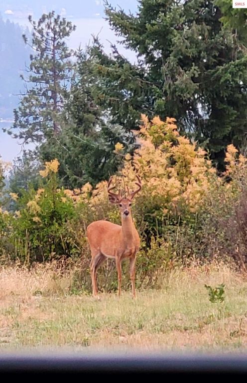 NKA Lisa, Harrison, ID 83833 photo 44