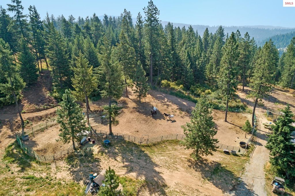 NKA Lisa, Harrison, ID 83833 photo 6