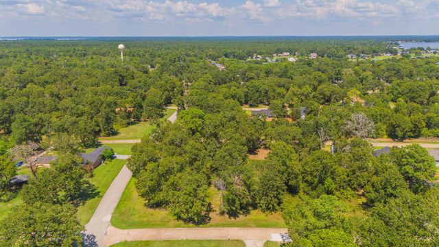 00 Deep Woods Lane, Livingston, TX 77351