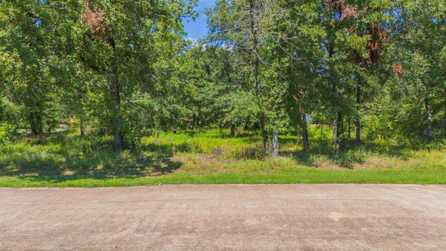 00 Deep Woods Lane, Livingston, TX 77351