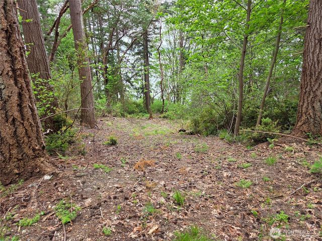 181 E Peale Drive, Shelton, WA 98584
