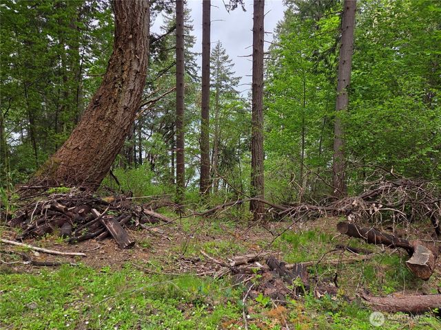 181 E Peale Drive, Shelton, WA 98584