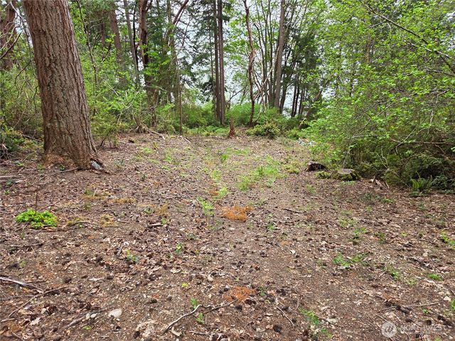 181 E Peale Drive, Shelton, WA 98584