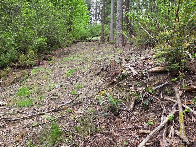 181 E Peale Drive, Shelton, WA 98584
