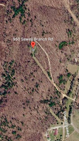 950 Sewell Branch Rd, Clifton, TN 38425