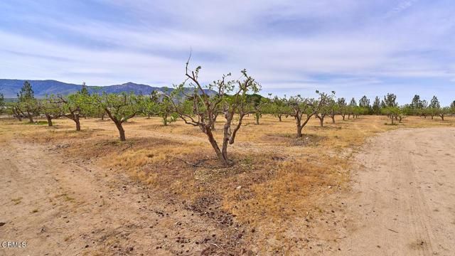 9494 Baker Road, Lucerne Valley, CA 92356