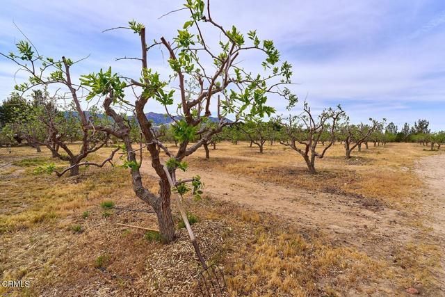 9494 Baker Road, Lucerne Valley, CA 92356