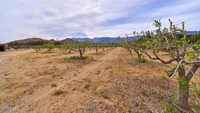 9494 Baker Road, Lucerne Valley, CA 92356