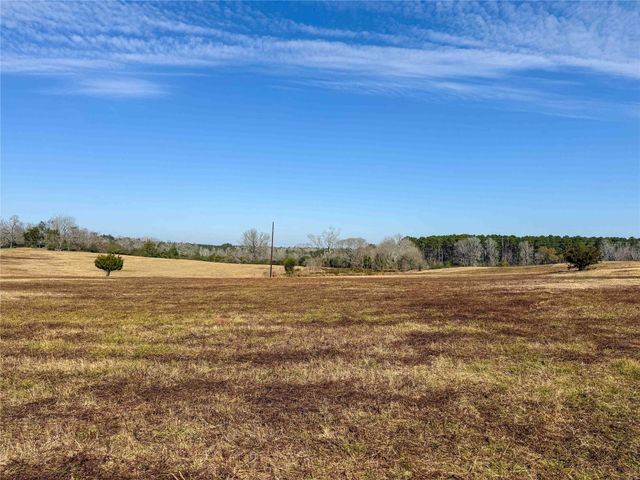 000 Cr 2780, Colmesneil, TX 75938