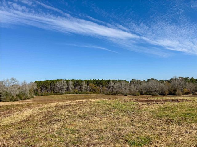 000 Cr 2780, Colmesneil, TX 75938